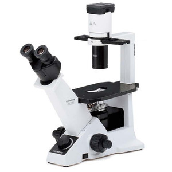 Инвертированный микроскоп Olympus CKX31