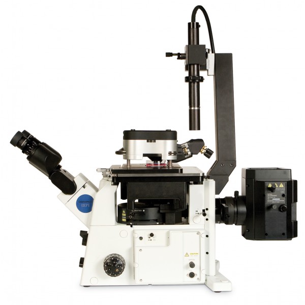 Атомно-силовой микроскоп MFP-3D-BIO™