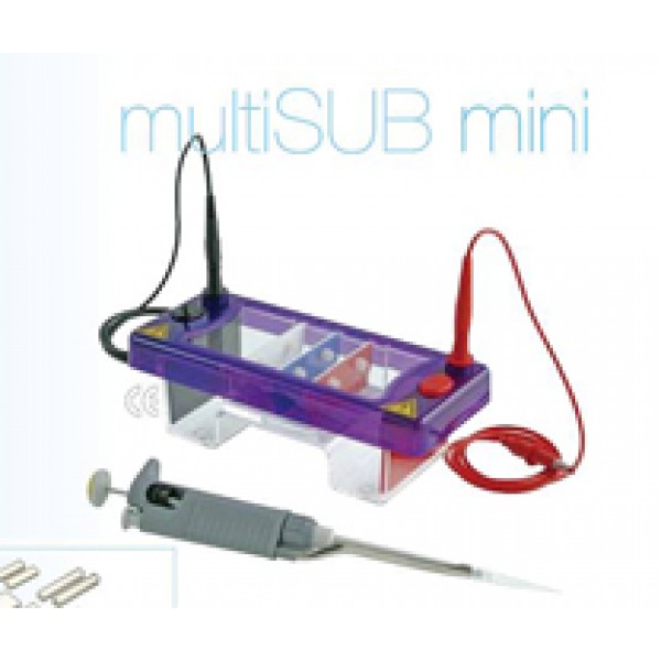 Электрофорезная камера multiSUB MINI