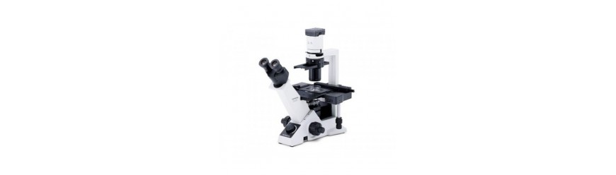 Инвертированные микроскопы (28)