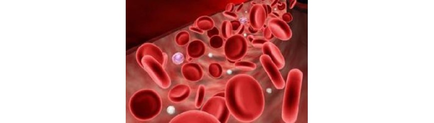 Анализаторы КЩС газов крови и электролитов (7)