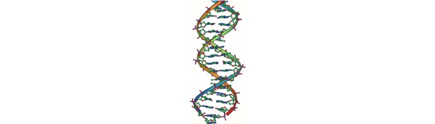 Секвенаторы ДНК (13)
