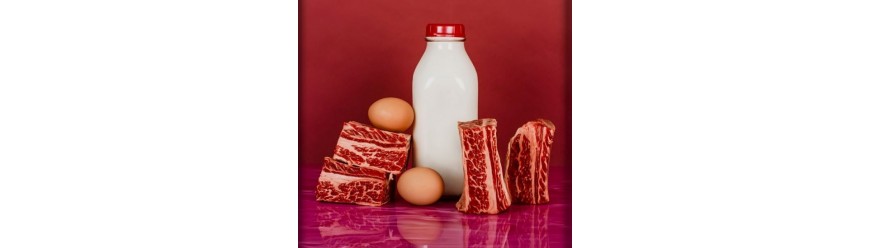 Мясо-молочная промышленность (25)